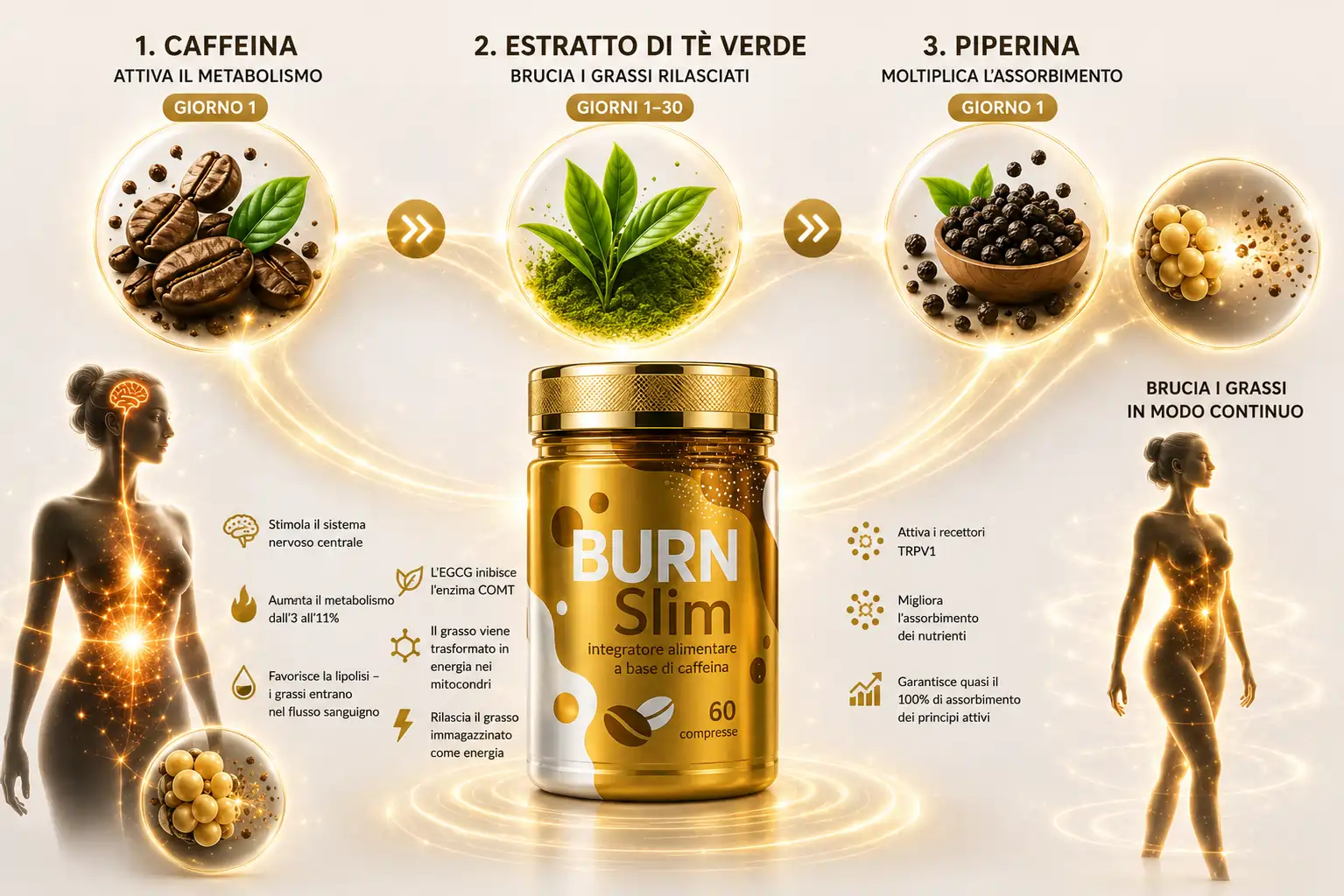 Ingredienti naturali Burn Slim
